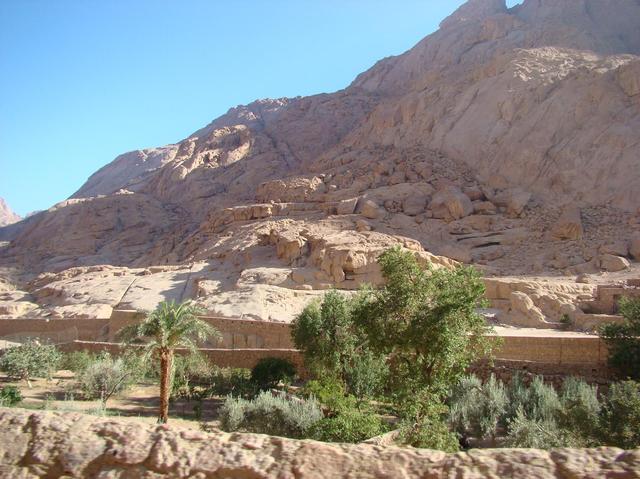 Dsc06016