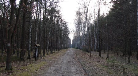 Kampinoski Park Narodowy - Główny Szlak 2012 - 03 – Truskaw, Polska