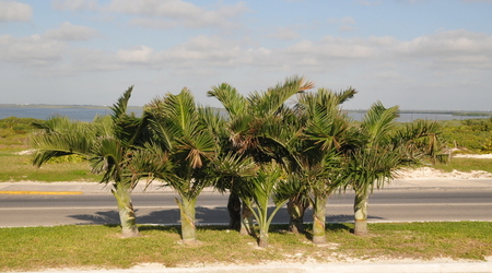 557638 - Cancún Cancun beztroskie życie turysty – Meksyk