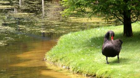 Holandia i ogrody 959 – Arcen