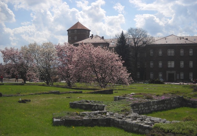 Wawel