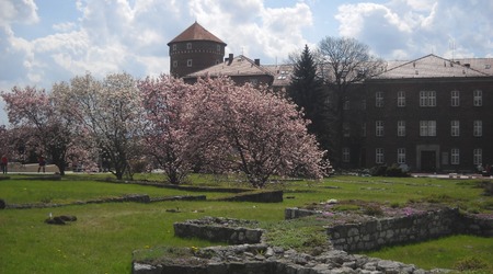 Wawel – Kraków, Polska