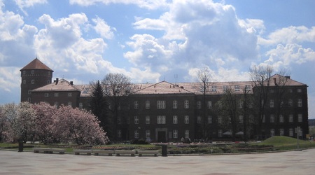 Wawel – Kraków, Polska