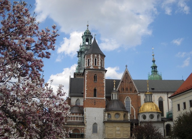 Widok na katedrę