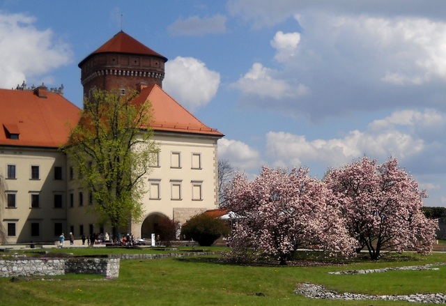 Wawel