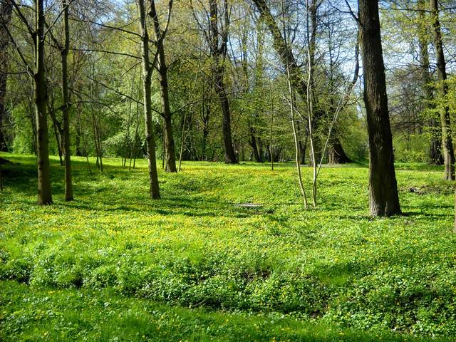 Park Decjusza