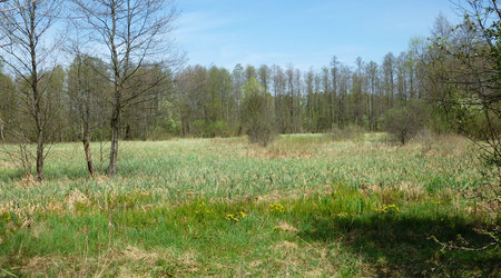 łąka – Truskaw, Polska