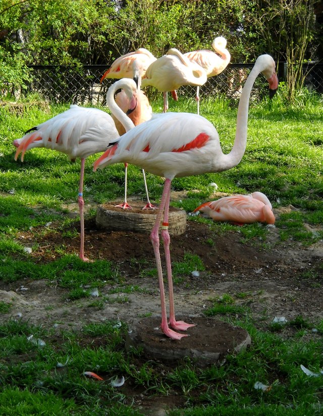 w ZOO