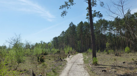 na drodze – Truskaw, Polska