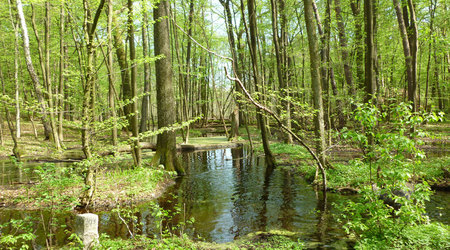 woda – Truskaw, Polska