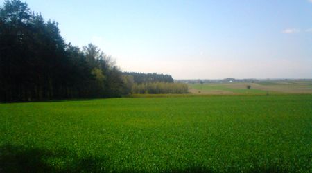 Widok z górki 2012 – Prusy, Polska