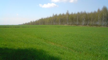Widok z Prus – Prusy, Polska