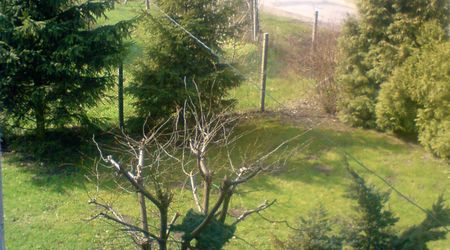 Widok na wjazd do Prus – Prusy, Polska