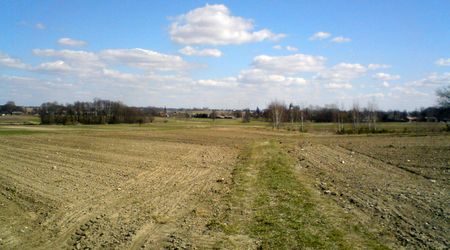Widok na Wysokienice i wiatraki – Prusy, Polska