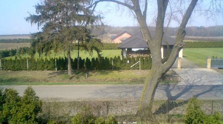 Widok na las pruski – Prusy, Polska