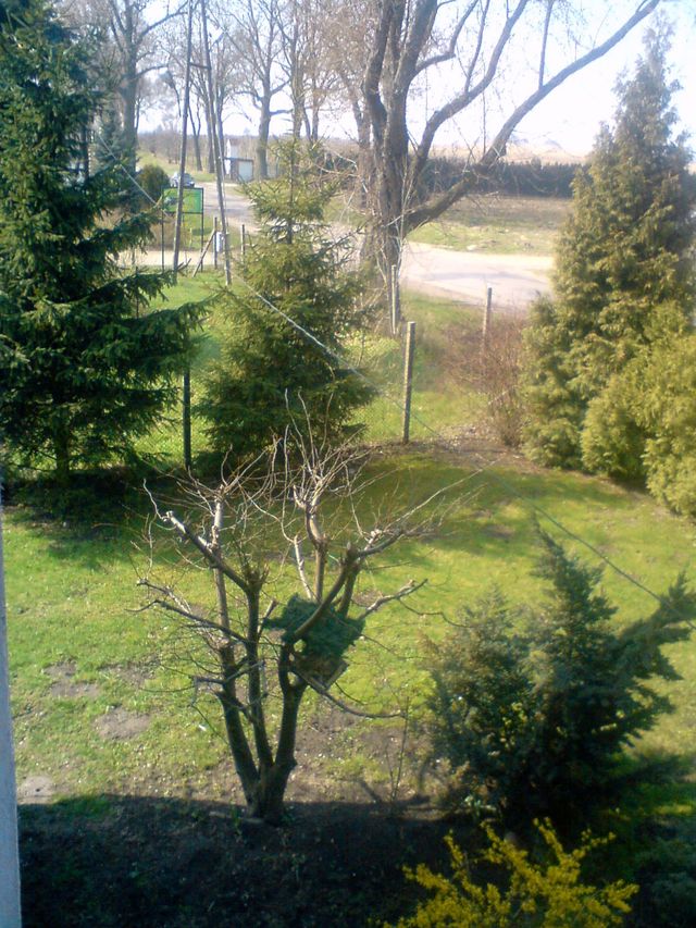 Widok na ogród i wjazd do Prus