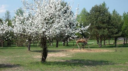 wiosna – Tokarnia, Polska