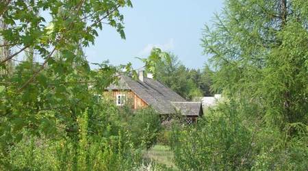 wśród drzew – Tokarnia, Polska