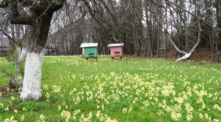6 – Szymbark, Polska