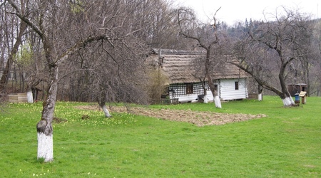 9 – Szymbark, Polska