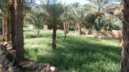 Zagora – Maroko