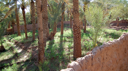 Zagora – Maroko