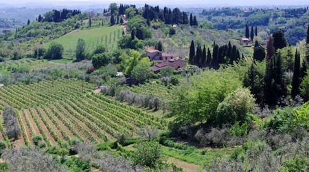 San gimignano – Włochy
