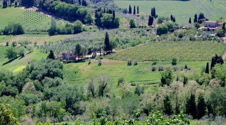 San gimignano  13 – Włochy