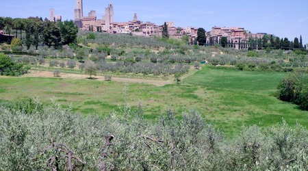 San gimignano  15 – Włochy