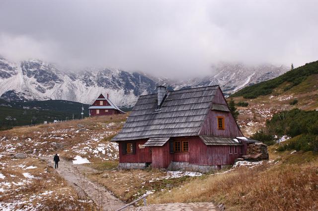 Hala Gąsienicowa