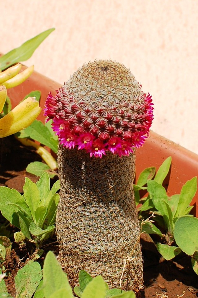 Kolory Sycylii