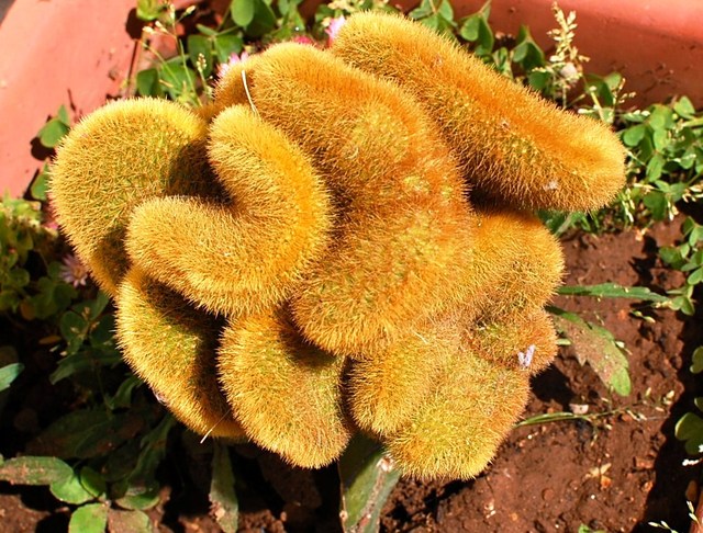 Kolory Sycylii