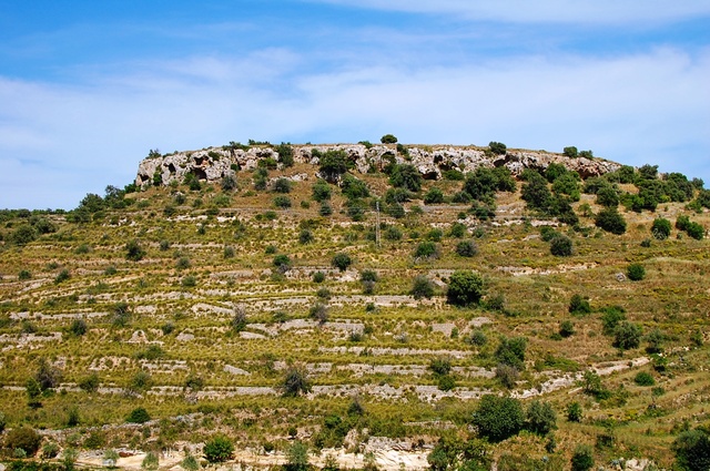 Noto
