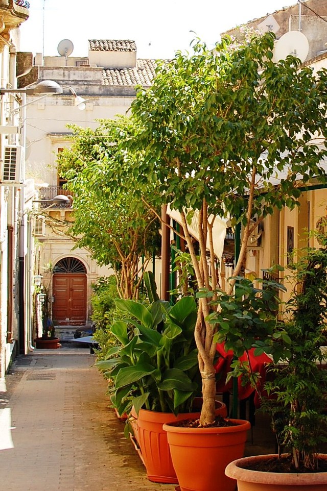 Noto