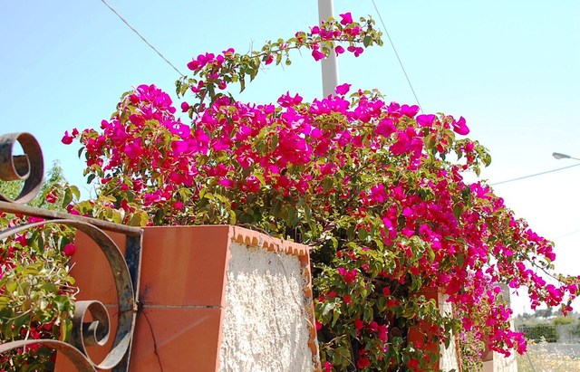 Noto Marina