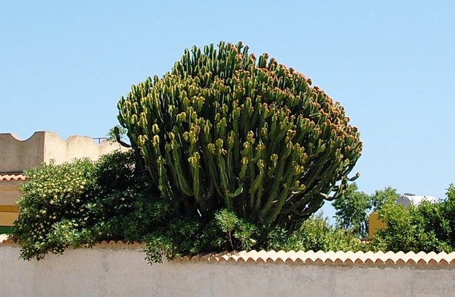 Noto Marina
