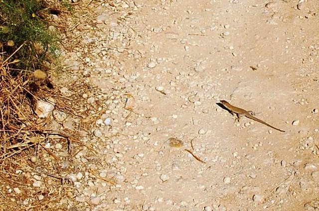 Kolory Sycylii