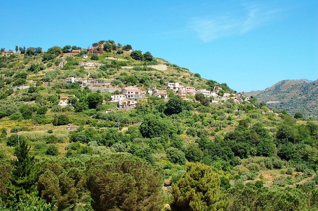 Savoca