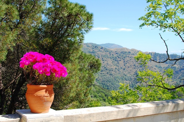 Savoca