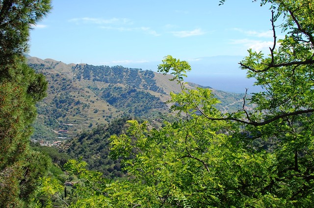 Savoca