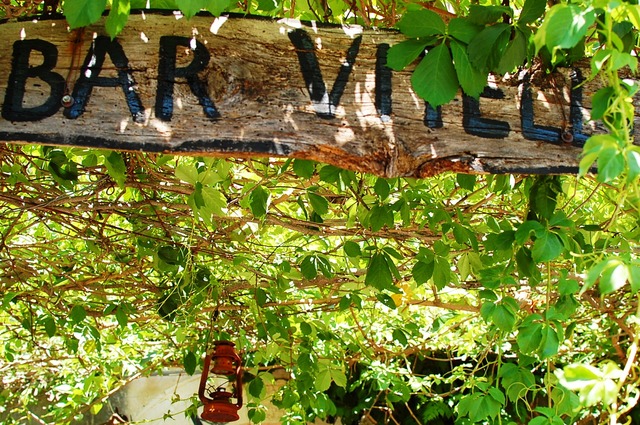 Savoca