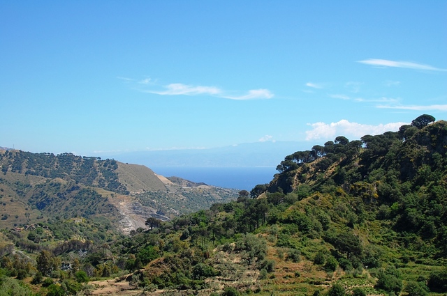 Savoca