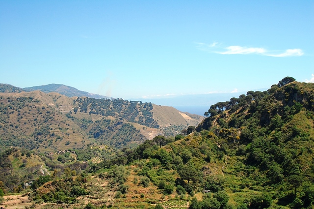 Savoca