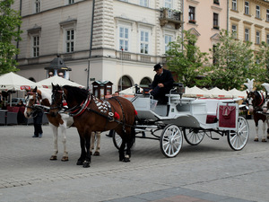bryczki na Krakowskim Rynku