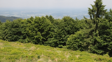 ustroń szlak rycerski – Polska