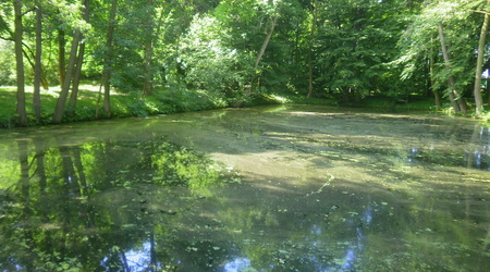 Radziejowice – Polska