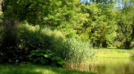 Ogród botaniczny – Lublin, Polska