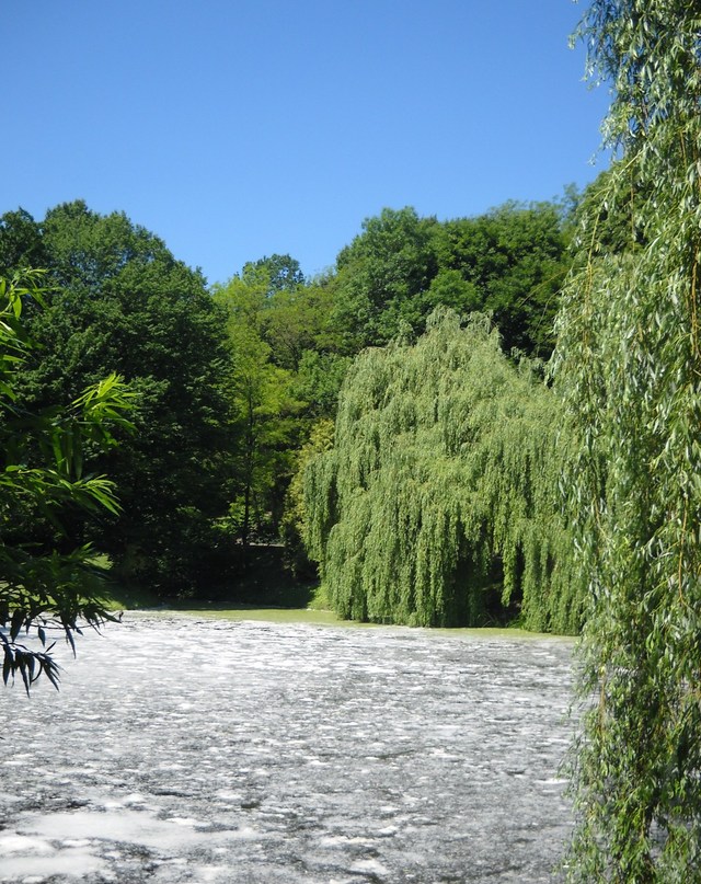 Ogród botaniczny