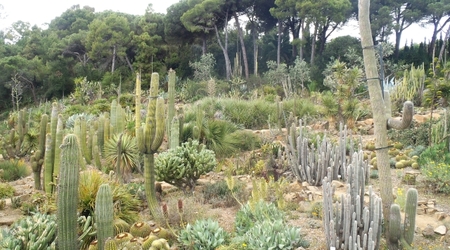 Blanes   ogrod marimutra1 – Tossa de Mar, Hiszpania