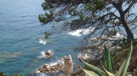 Blanes   ogrod marimutra6 – Tossa de Mar, Hiszpania